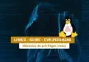 Linux - GLIBC - CVE-2023-6246
