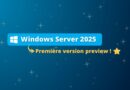 Windows Server 2025 Preview