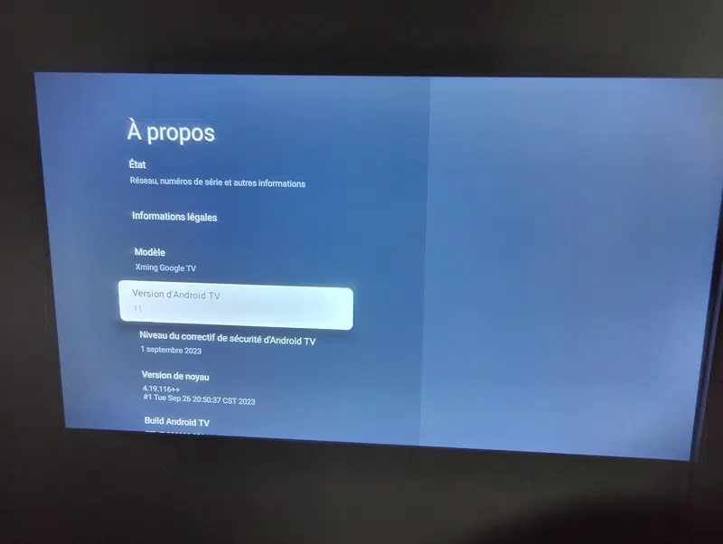 Formovie Xming Google TV