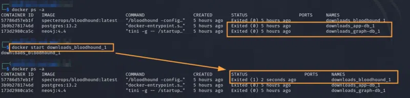 Démarrage manuel des différents containers dans le mauvais ordre.