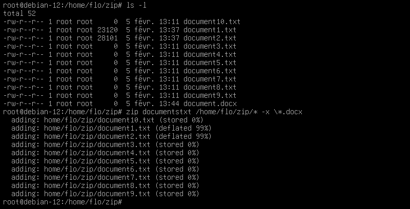 exclure fichiers archive zip linux