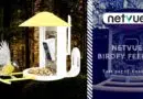 Test Netvue Birdfy Feeder