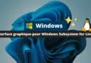 Windows - Interface graphique pour Windows Subsystem for Linux