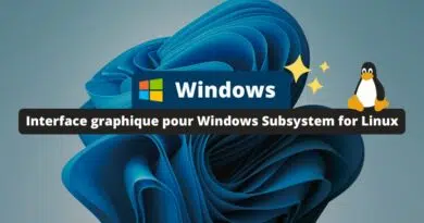 Windows - Interface graphique pour Windows Subsystem for Linux