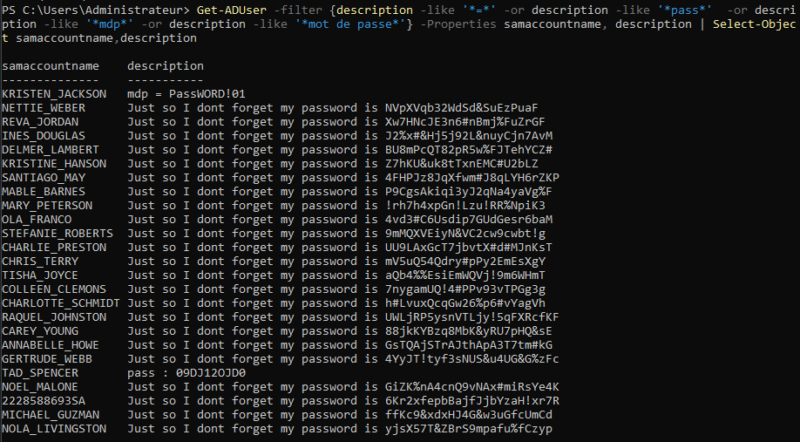 Application de filtres de recherche sur le contenu des descriptions utilisateur avec "get-ADUser".