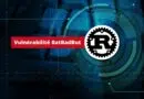 BatBadBut - Rust - CVE-2024-24576