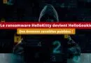Le ransomware HelloKitty devient HelloGookie - Avril 2024