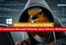 Malware Raspberry Robin - Il contourne Microsoft Defender pour infecter Windows
