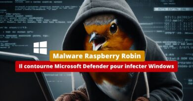 Malware Raspberry Robin - Il contourne Microsoft Defender pour infecter Windows