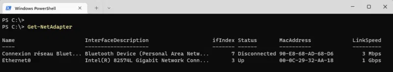 PowerShell - Get-NetAdapter - Exemple