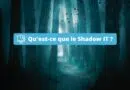 Qu'est-ce que le Shadow IT ?