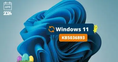 Windows 11 KB5036893