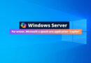 Windows Server 2022 - Application Microsoft Copilot IA - Avril 2024