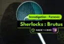 challenge hack the box sherlocks brutus
