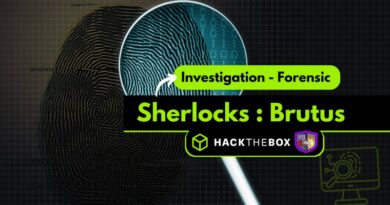 challenge hack the box sherlocks brutus