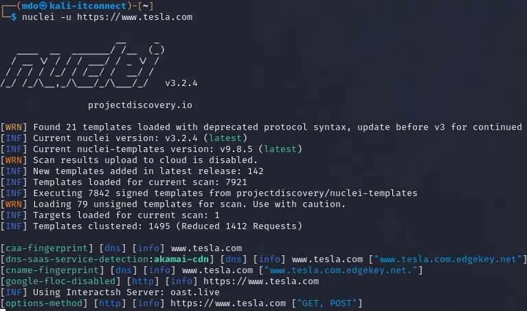 Utilisation basique de Nuclei sur une application web.
