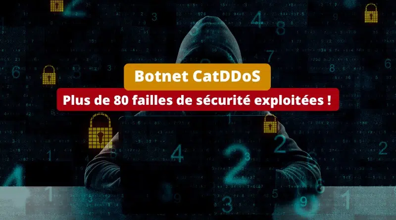 Botnet CatDDoS - Plus de 80 failles de sécurité exploitées