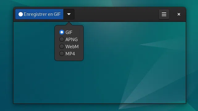 Utilisation de Peek sous Linux