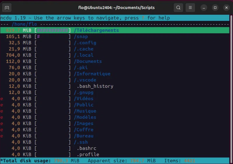 Analyser espace disque Linux avec ncdu