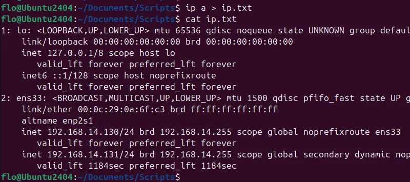 Bash - Envoyer sortie commande dans un fichier
