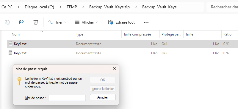 Fichier ZIP protégé par mot de passe