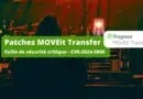 MOVEit Transfer - Faille de sécurité critique - CVE-2024-5806