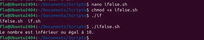 Script Bash - Instructions If et Else