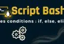 Script Bash - Les conditions if else elif