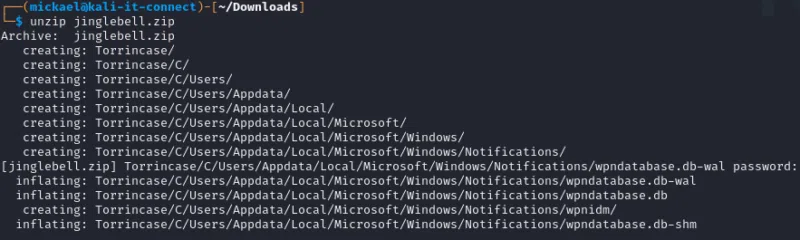 Contenu de l'archive d'investigation Jingle Bell.