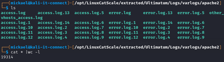 Synthèse des logs apache contenus dans l'archive.