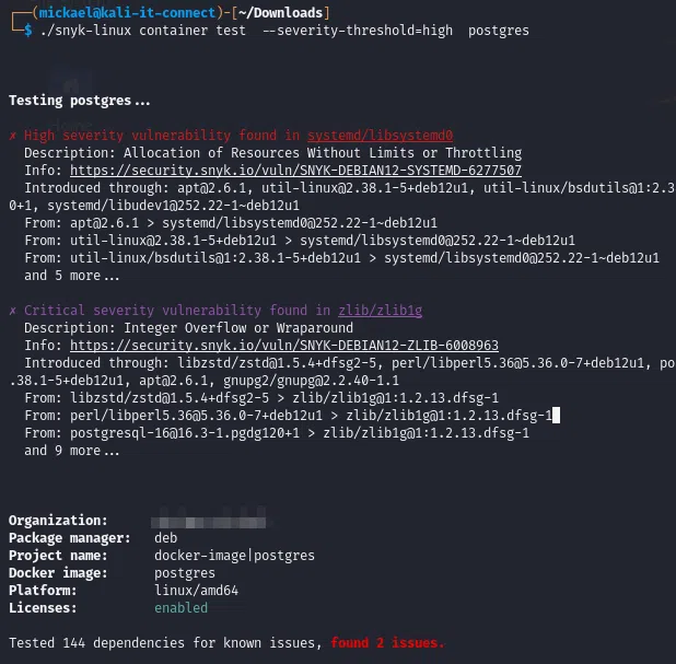 Exemple de rapport fait par snyk sur l'analyse d'un conteneur Docker.