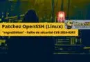 OpenSSH - regreSSHion - CVE-2024-6387