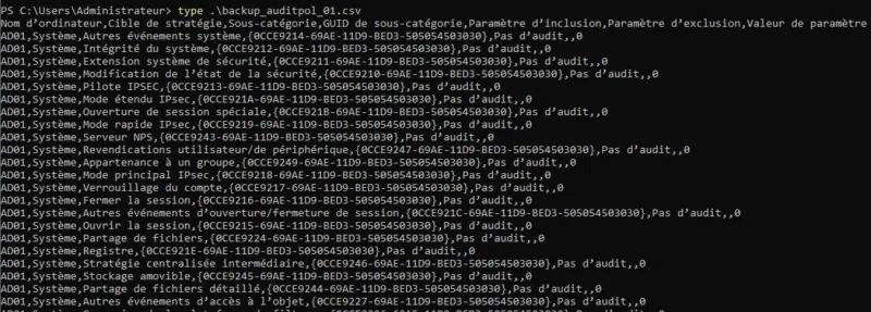 Exemple de backup de stratégie d'audit au format CSV réalisé par "auditpol.exe"