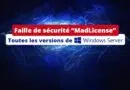 Faille de sécurité MadLicense Windows Server