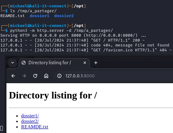 Spécification du répertoire à exposer lors du lancement d'un serveur web http.server.
