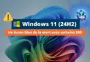 Windows 11 24H2 - Problème SSD écran bleu de la mort