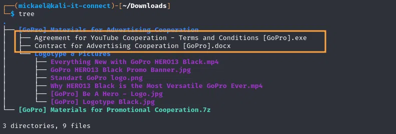 Contenu du ZIP chiffré reçu.