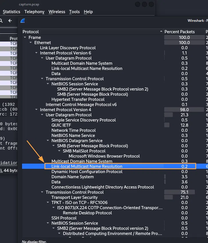 Statistique des paquets et protocoles présents dans la capture (Wireshark).