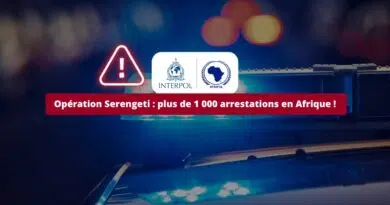 Cybersécurité - Opération Serengeti - plus de 1 000 arrestations en Afrique