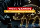 Meta - Lutte contre arnaque Pig Butchering