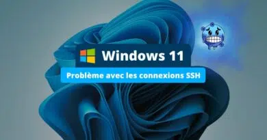 Windows 11 Problème avec les connexions SSH - Octobre 2024
