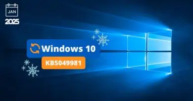 Windows 10 - KB5049981