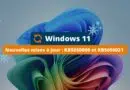 Windows 11 KB5050009 et KB5050021 - Mises à jour janvier 2025