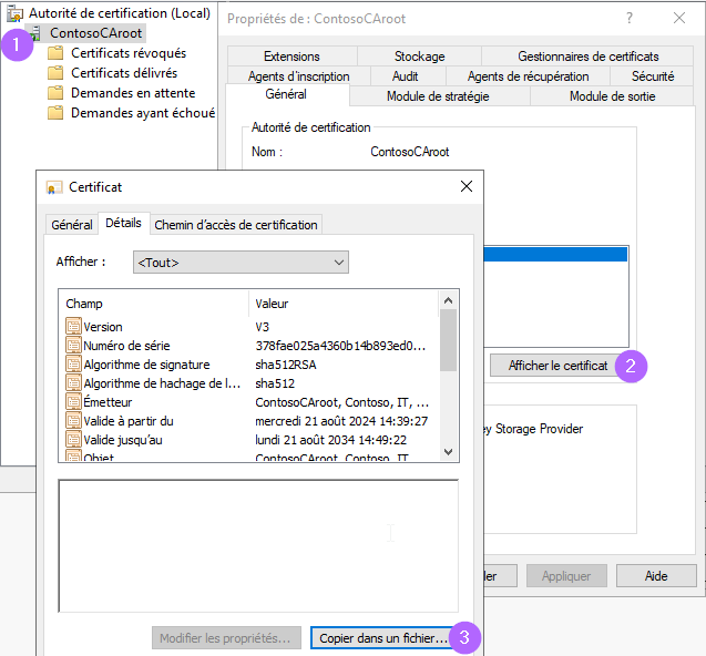 Une image contenant texte, capture d’écran, logiciel, affichage

Description générée automatiquement