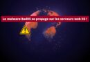 Le malware BadIIS se propage sur les serveurs web IIS - 2025