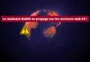Le malware BadIIS se propage sur les serveurs web IIS - 2025