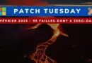 Microsoft Patch Tuesday Février 2025