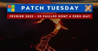 Microsoft Patch Tuesday Février 2025