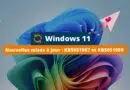 Windows 11 KB5051987 et KB5051989 - Mises à jour février 2025