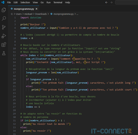Débuter avec Python : écrire son premier script